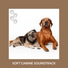 Dog Chill Out Music