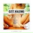 Ozet.353