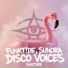 FunkT!de, Sunora, SUNCTURE