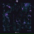 Y U K I feat. Slavnayad
