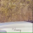 Vneeng