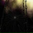 Wizard2444