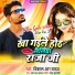 Vishal R Yadav