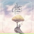 Room 39 -