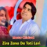 Mastar Chiniwal