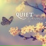 Quiet Music Academy