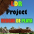 LDR Project