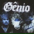 Plugmingos, BENI, Shoy