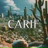CARIF