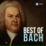 Yehudi Menuhin, Bath Festival Orchestra