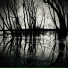 Chris Lippincott