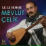 Mevlüt Çelik