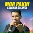 Suleman Solangi