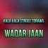 Waqar Jaan