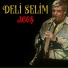 Deli Selim
