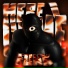 D4R.IO, Rushex, MONTAGEM, DJ GAE