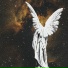 GONUVXR