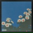 Tosso, Dreamfield
