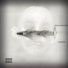 ASSALUN feat. thisisromashkin