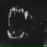 VVOG