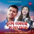 Ankita Priyadarshini, Vedanta Mishra