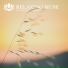 Relaxing Muse, Relaxing Music, Meditation Music