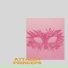 attalea princeps