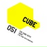 The Cube Guys