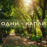 ОДНИ