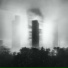 AYDAE, Bittrisky