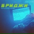 Бриджи