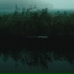CRYWAVE.