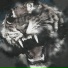 Ahimsa Beatz