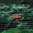 Nuvr13