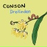 Conson