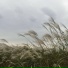 MIRAÉ