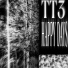 TT3