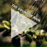 Rain Sounds by Johnny, Rain Sounds, Nature Sounds