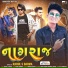 Rahul S Dhama