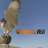 Deskant