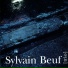 Sylvain Beuf