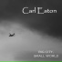 Carl Eaton