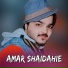 Amar Shaidahie