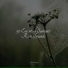 Loopable Rain, Alpha Waves, Reiki Music