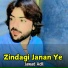 Jawad Adil