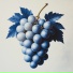 vanillagrape