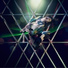 [CK] MIYAVI
