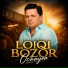 Loiqi Bozor