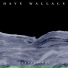 Dave Wallace