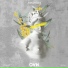OVN feat. Young Man, True Kim